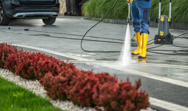Best Driveway Pressure Washing  in Herrin, IL